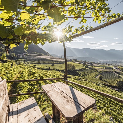 Weinlehrpfad Algund
