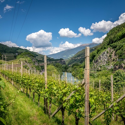 Leitacher Weinwanderweg