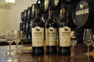 wine (288)-2