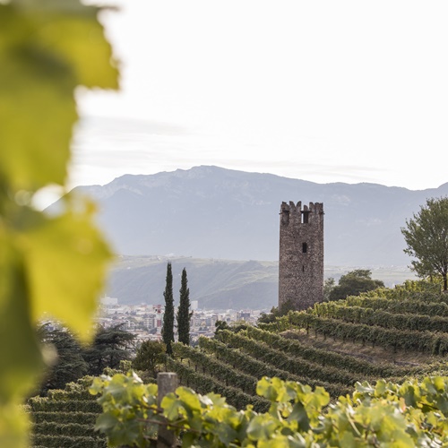 Weingut Rottensteiner