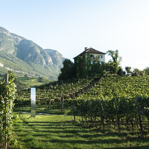 Weingut Baron Longo