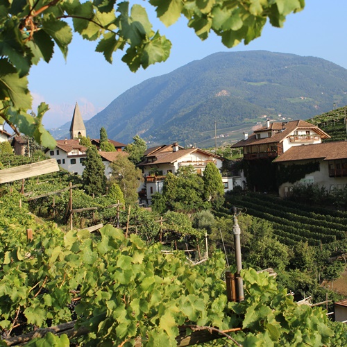 Weingut Eberlehof