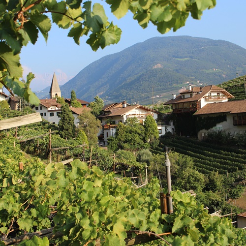 Weingut Eberlehof