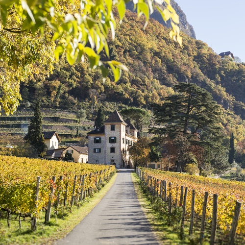 Weingut Kornell