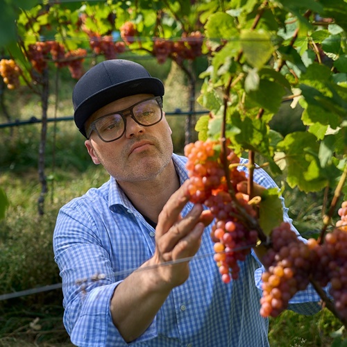 Weingut Peter Sölva
