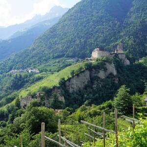 Schloss Tirol