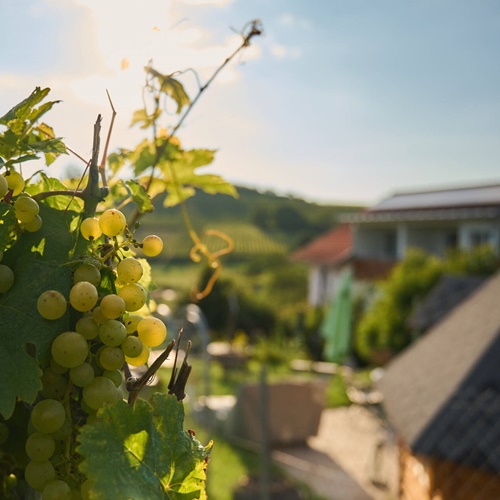 Weingut Berner