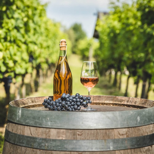 Weingut Montferland