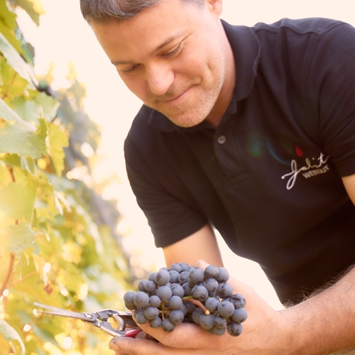 Weingut Jalits