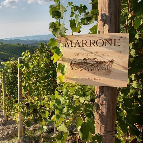 Azienda Agricola Marrone