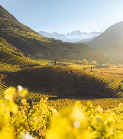 IDM Südtirol-Alto Adige/Tobias Kaser