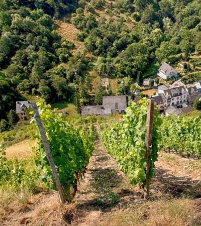 Weingut Lithos