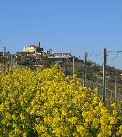 foto-cantinepovero (5)-4 Cantine Povero