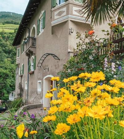 foto-pitschambach-2-4 Weingut Pitsch am Bach