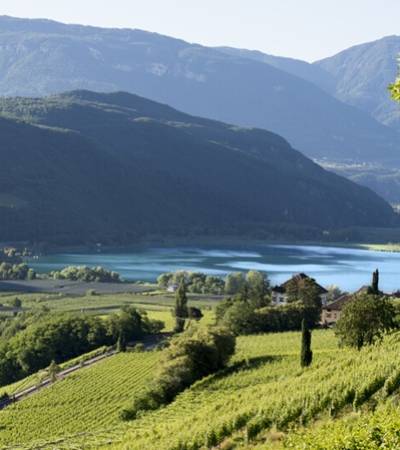 Weingut Seeperle